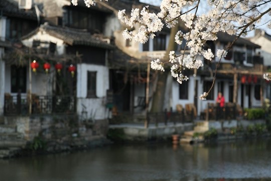 西塘古鎮(zhèn)