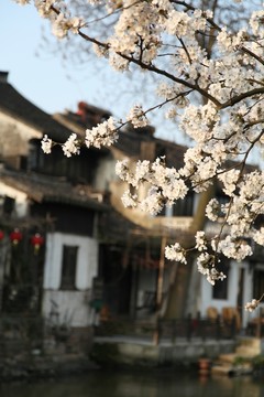 西塘古鎮(zhèn)