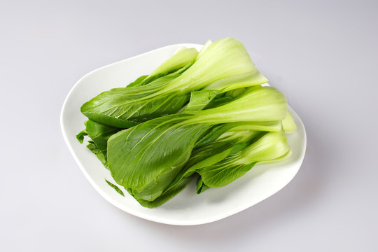 小油菜