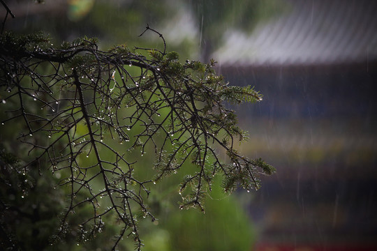 雨天