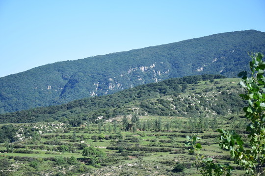 遠(yuǎn)山和近山高清圖片