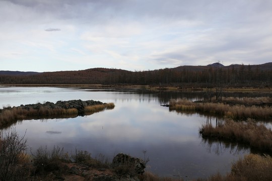 阿爾山杜鵑湖