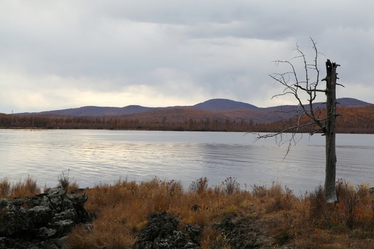 阿爾山杜鵑湖