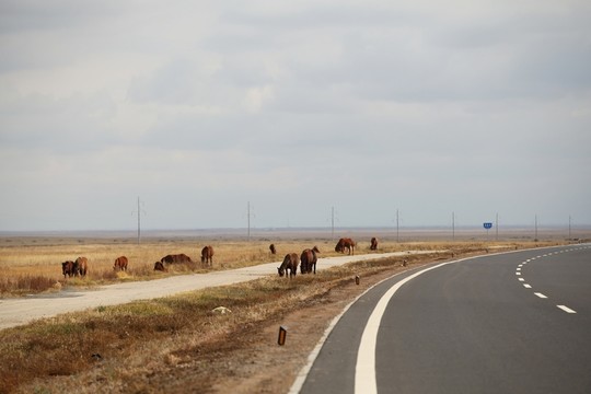 草原上的公路