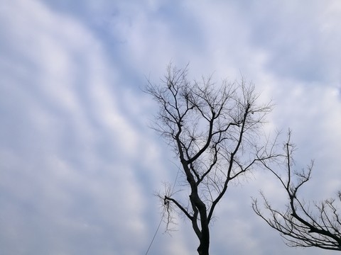 別樣公園風(fēng)貌