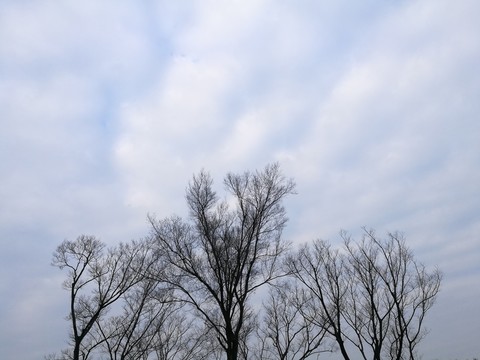 別樣公園風(fēng)貌
