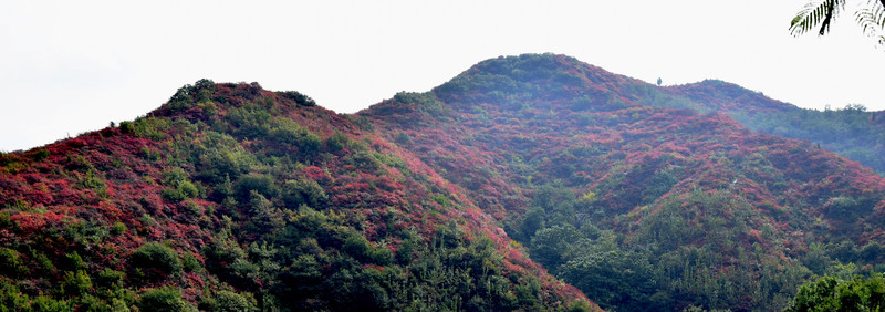 薄霧中的彩色山嶺