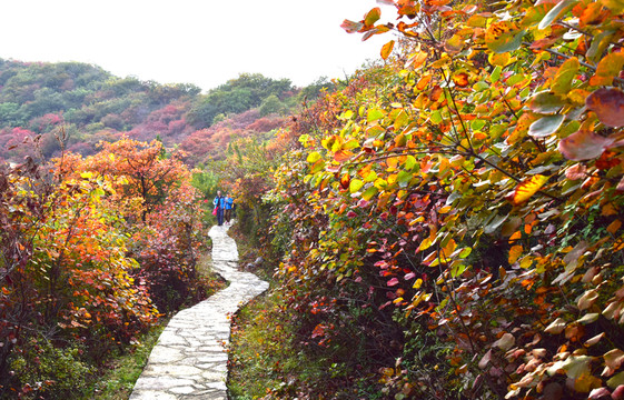 秋季山景旅游摄影图