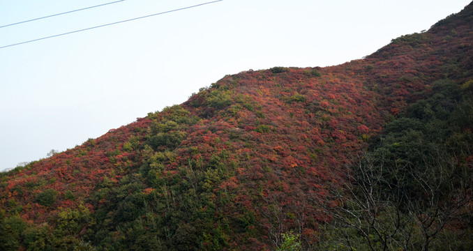 鞏義長壽山秋季風(fēng)景