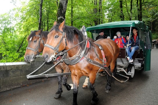 德國(guó)馬車(chē) 觀光旅游