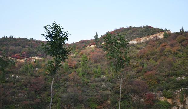 秋季的山坡風(fēng)景圖