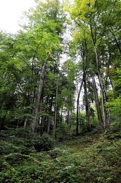 德國田園風(fēng)光 歐洲自然風(fēng)光