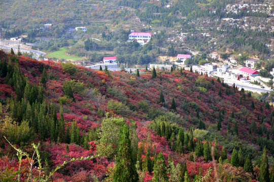 彩色的山坡秀美風(fēng)光