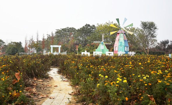 公園里的大風(fēng)車圖片