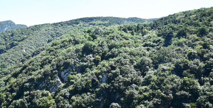 綠意蔥蔥的山脈風(fēng)景