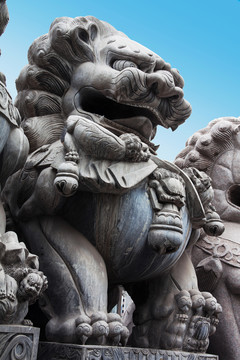 石獅 石獅子 雄偉 石雕