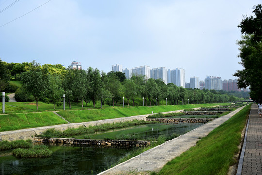 濱河公園綠色樹(shù)林