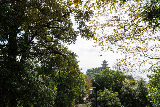 觀音寺大悲閣遠(yuǎn)眺