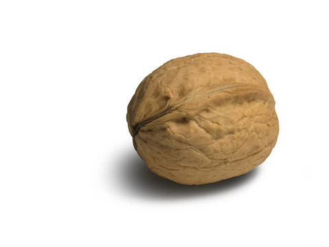核桃