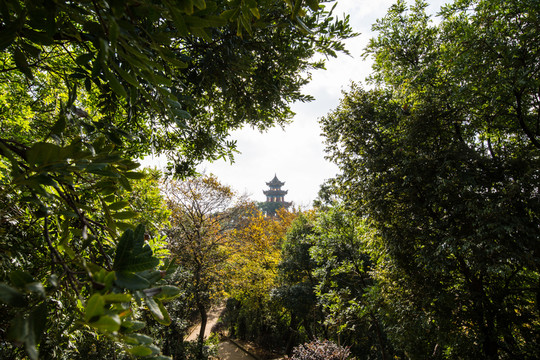 觀音寺大悲閣遠(yuǎn)眺