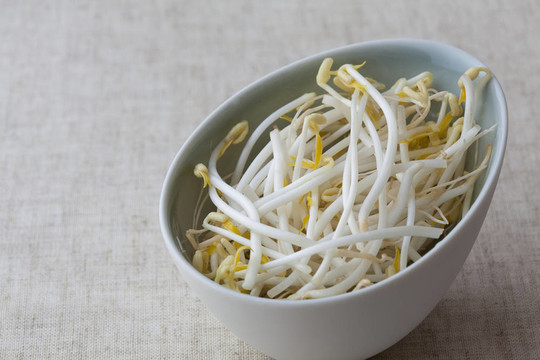 豆芽