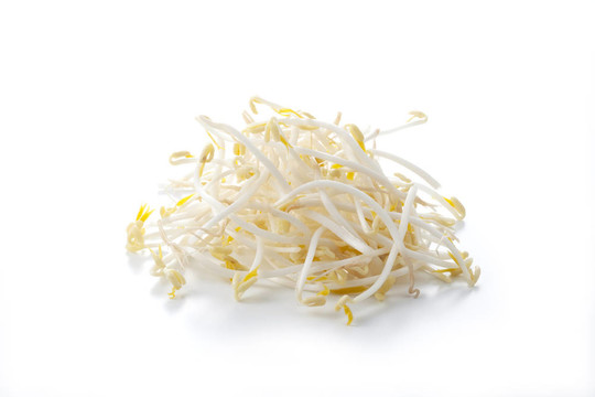 豆芽