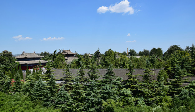 被綠色樹林環(huán)繞的古建筑