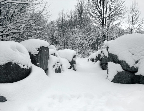 白雪覆蓋的風景和石頭