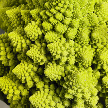 摘要羅馬花椰菜