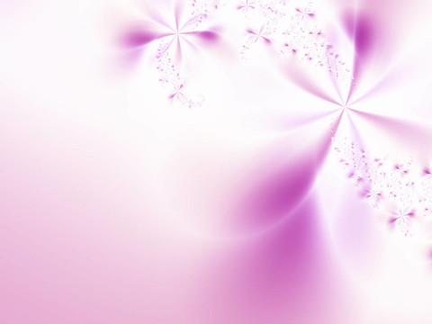 摘要花