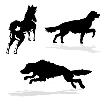 狩獵犬在白色背景的剪影