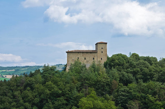 城堡Pellegrino Parmense。Emilia Romagna。意大利.
