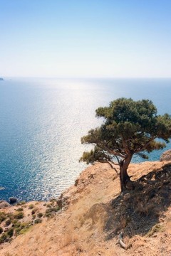 景觀與山；海和樹