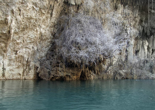 在神農(nóng)溪河巖面