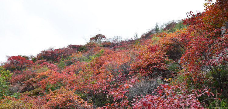 紅色的山坡風(fēng)景攝影