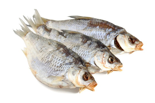 白底干魚