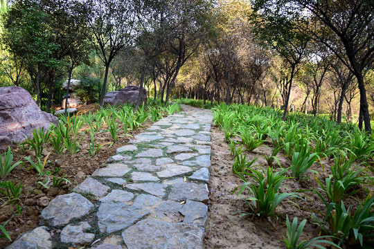 石頭拼成的公園小道