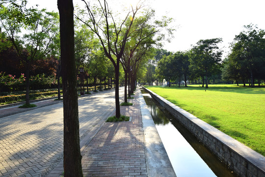 午后的公園美景
