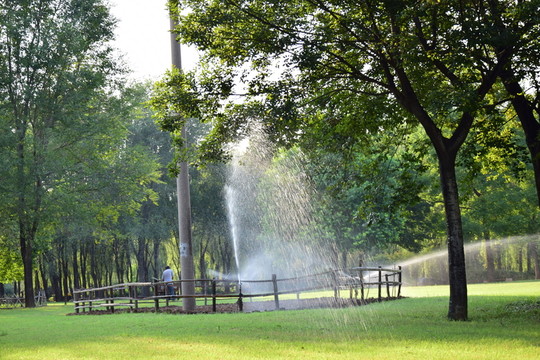 公園綠地噴灌景觀高清圖
