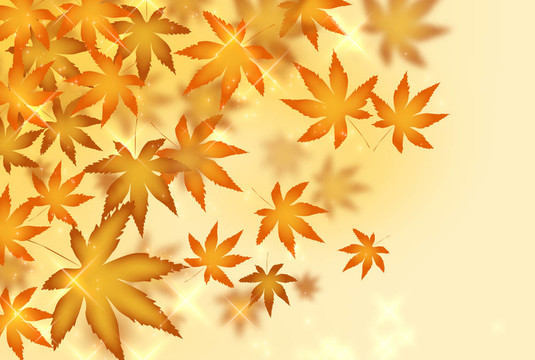 紅葉
