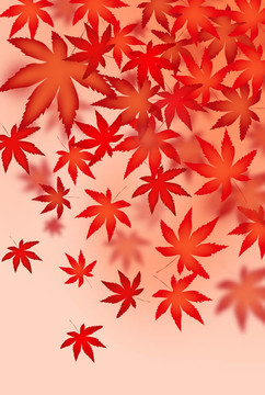 紅葉