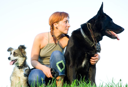 女人与她的狗在草地上