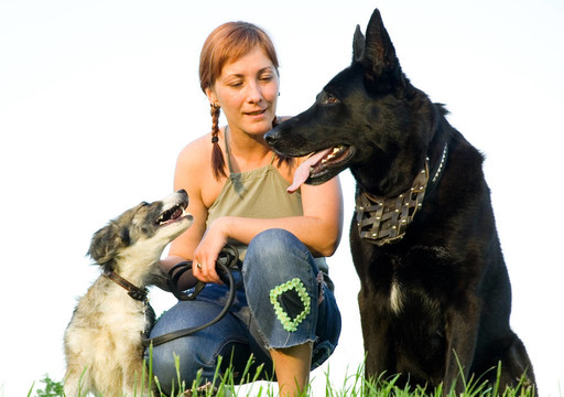 女人与她的狗在草地上