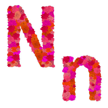 紅玫瑰花字母字符N-N；