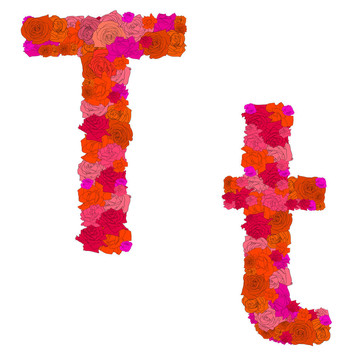 紅玫瑰花字母；人物T-T