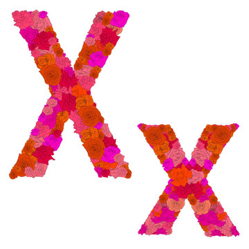 紅玫瑰花字母字符X-X；