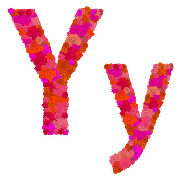 紅玫瑰花字母；人物Y-Y