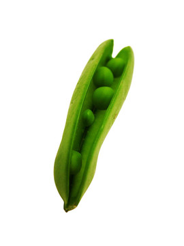 豌豆莢