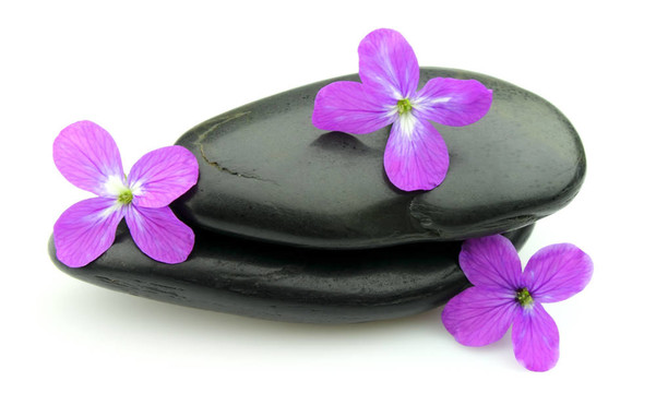 紫罗兰花的石头