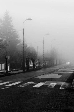 在背景與汽車人行橫道霧聚焦黑暗的道路